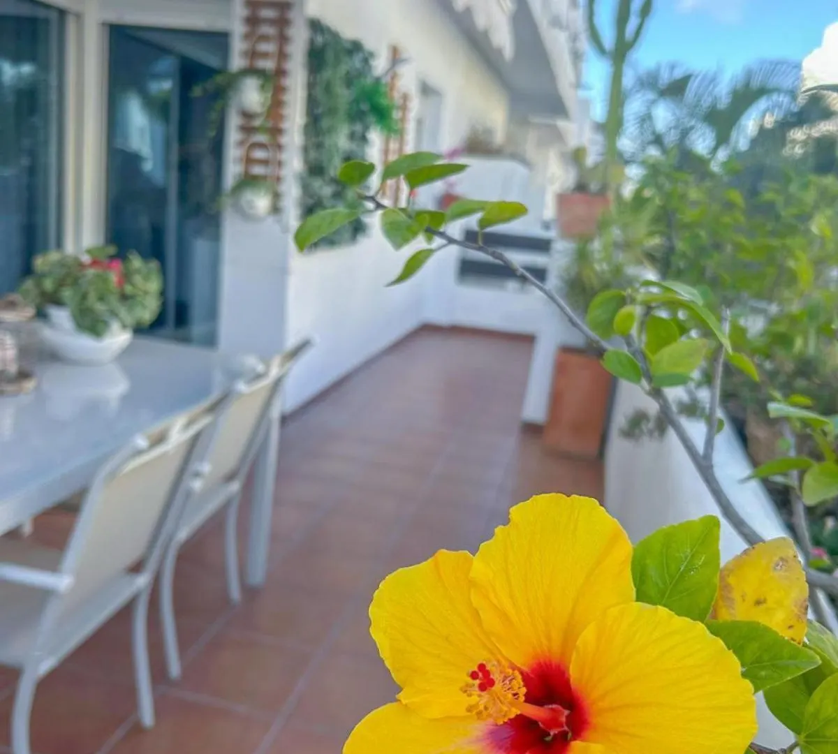 Apartamento Golf Valle Romano Estepona Spain